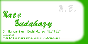 mate budahazy business card